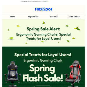 FlexiSpot Spring Sale 2024 -Gaming chair Flash sale！