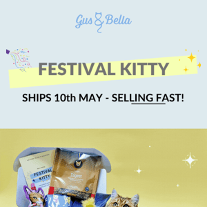 👀 Festival Kitty box with EXTRA for Kitty