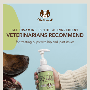 The #1 ingredient Veterinarians recommend