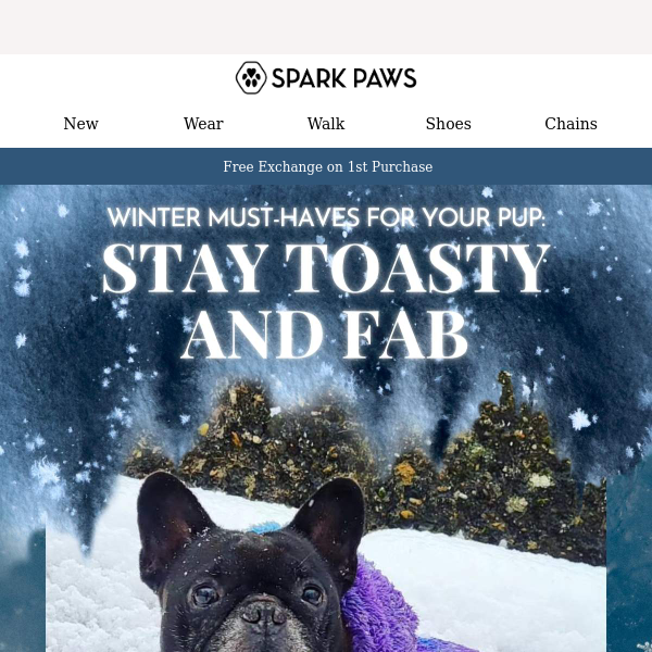 🐶 Stay toasty and fab! ❄️