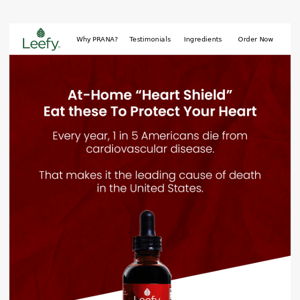 These powerful nutrients are your “heart shield”