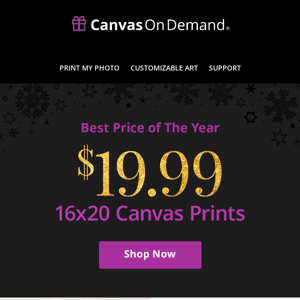 Best Price of The Year: 16x20 Canvas Prints for $19.99!