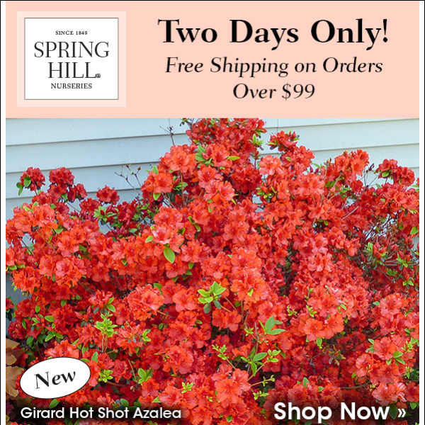 Two Days Only: Free Shipping on $99
