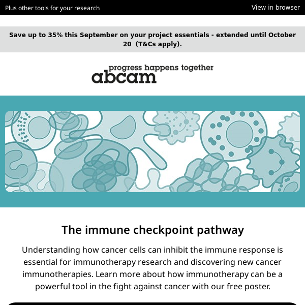 Explore the immune checkpoint pathway