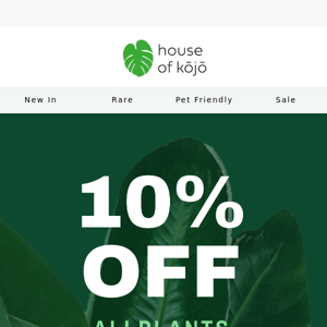 You can get 10% off one of our rare tropical plants today! 🌿⚡