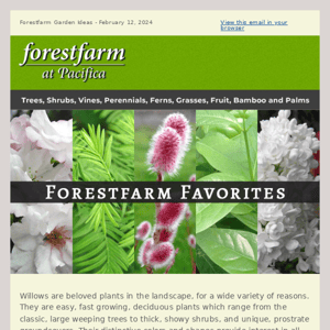 Forestfarm Favorites!