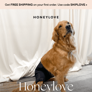 Introducing Honeylove for Dogs 🐕