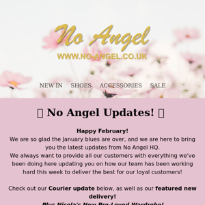 Delivery Updates from No Angel! 📬