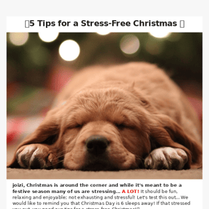 Tips for stress free Christmas 🎄