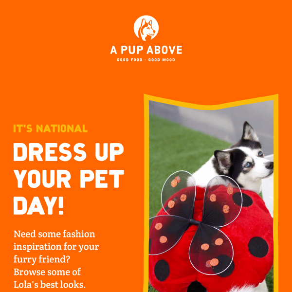 National Dress Up Your Pet Day!