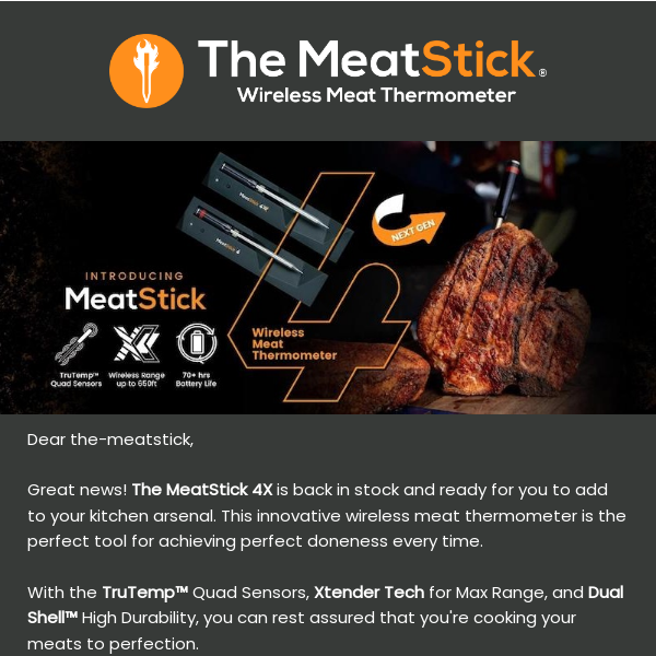 The MeatStick 4X Wireless Thermometer 