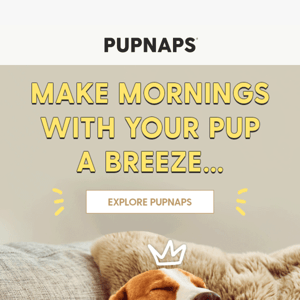 [Pupnaps Education] Make mornings with your pup even better