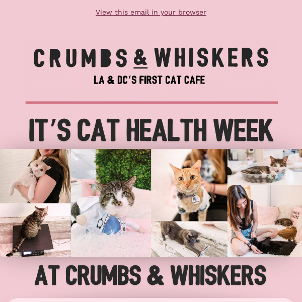 It's Cat Health Week! 🐱🩺