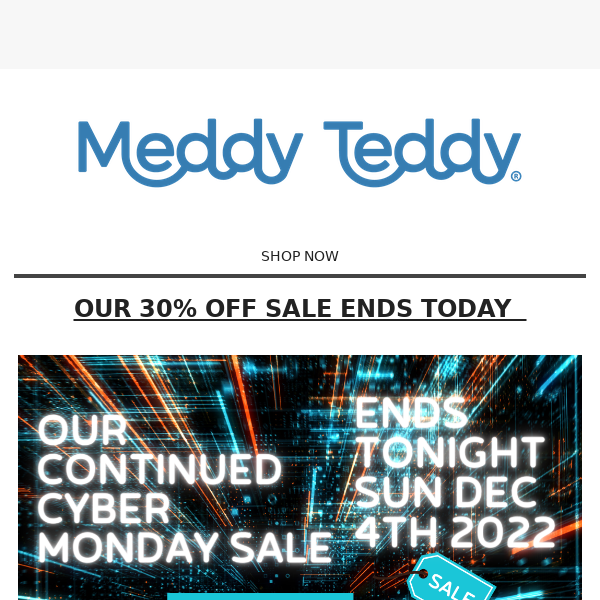 End of our Annual Meddy Teddy Sale