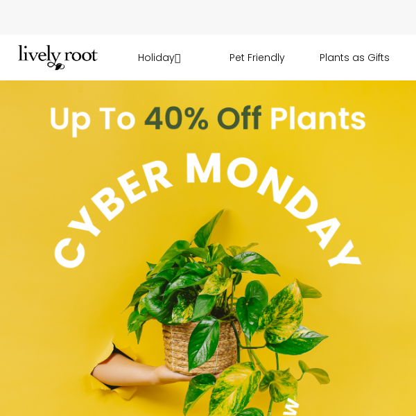 🌱Up To 40% Off Plants! 🌱