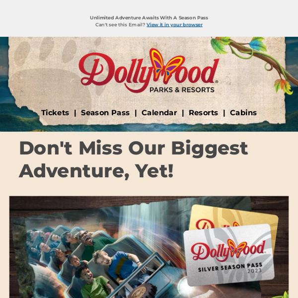 You're Almost There Dollywood!