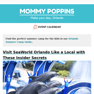 Visit SeaWorld Orlando Like a Local with These Insider Secrets