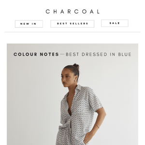 COLOUR NOTES ✷ buy it in blue