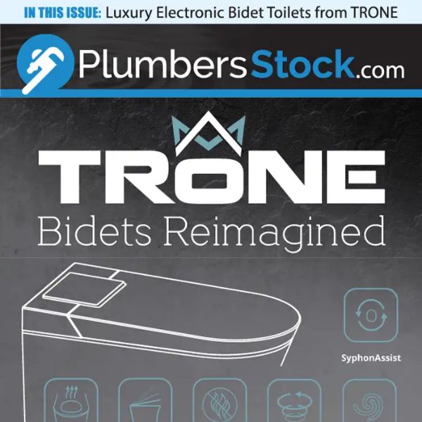 Affordable Luxury Electronic Bidet Toilets