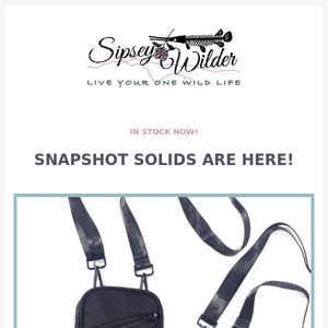 🌑SOLIDS! Snapshot Crossbody Bags🌑