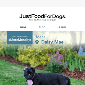More Mondays: Meet Daisy Mae