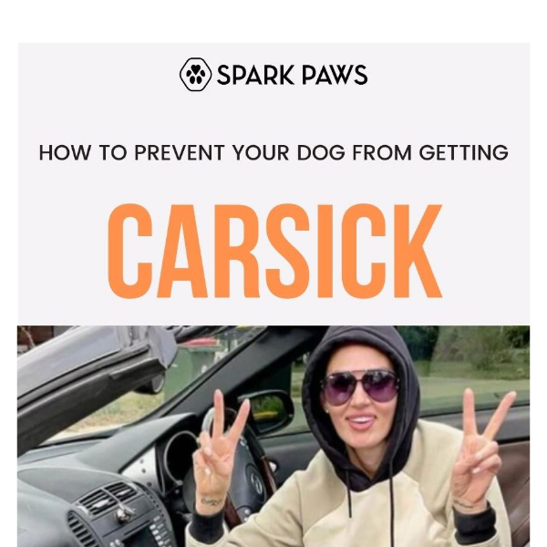 Stop your dog from getting carsick 🚗