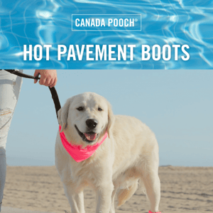 Protect paws from hot pavement!