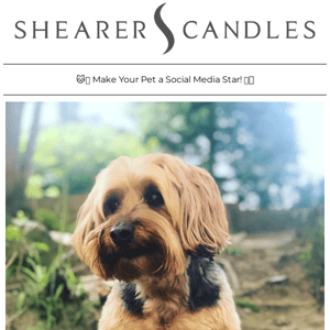 📸 Your Pet + Our Candles = Insta Fame! 🌟