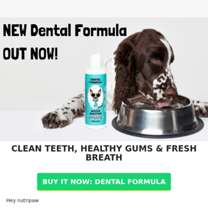 🐶 80% of dog's NEED this NEW NutriPaw dental formula