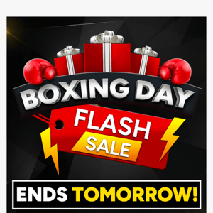 🚨 Boxing Day Flash Sale Ends Tomorrow!