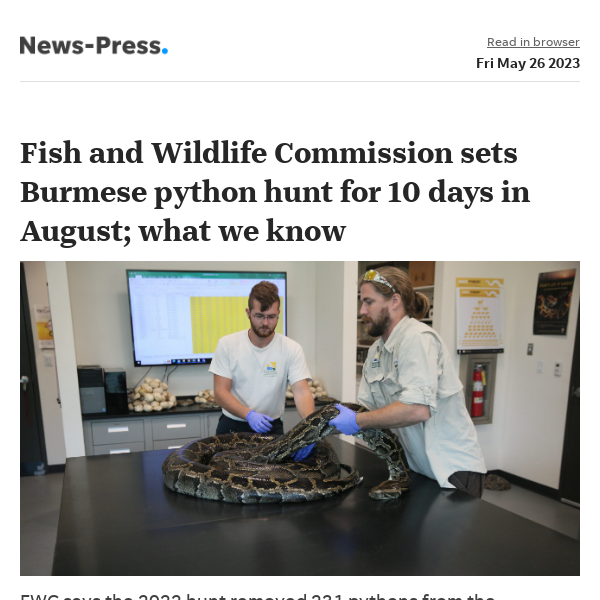 News alert: Fish and Wildlife Commission sets Burmese python hunt for 10 days in August. Here's what we know