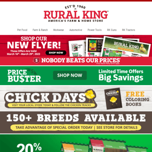 Keep The Chickens Happy & They Will Provide Eggs! Huge Savings On The Essentials Needed To Have A Bountiful Production!