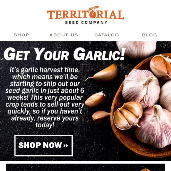 Get your garlic before it's gone!