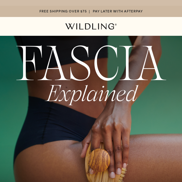 Fascia, Explained