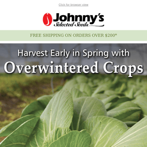 Plant for the Earliest Spring Harvest