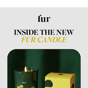 Inside the new Fur Candle. 🌱