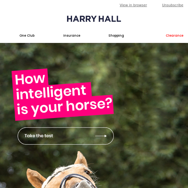 How intelligent is your horse? 🐴
