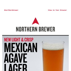 NEW Beer Kit: Mexican Agave Lager🌵