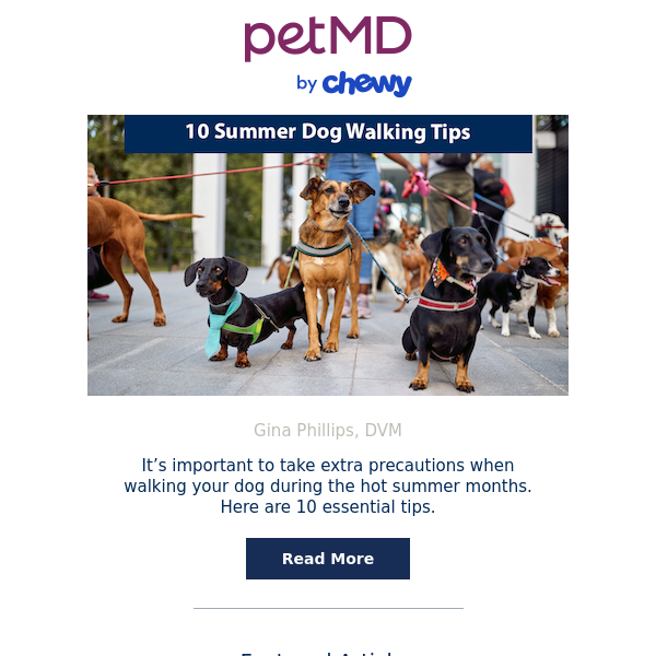 10 Summer Dog Walking Tips