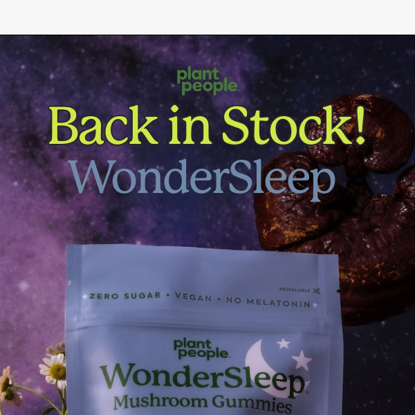 RESTOCK ALERT: WonderSleep is BACK! 💜