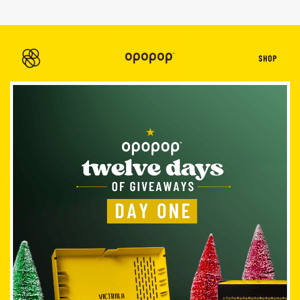 12 Day of Giveaways Starts Today!