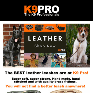 Love leather on your dog? Look no further!