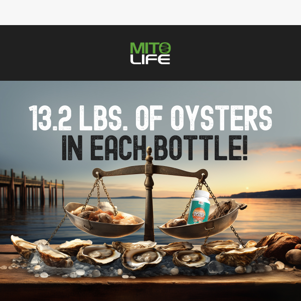 Won't Eat or Can't Source High Quality Fresh Oysters?