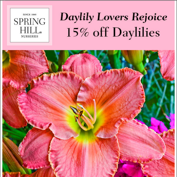 LAST DAY for 15% Off Daylilies