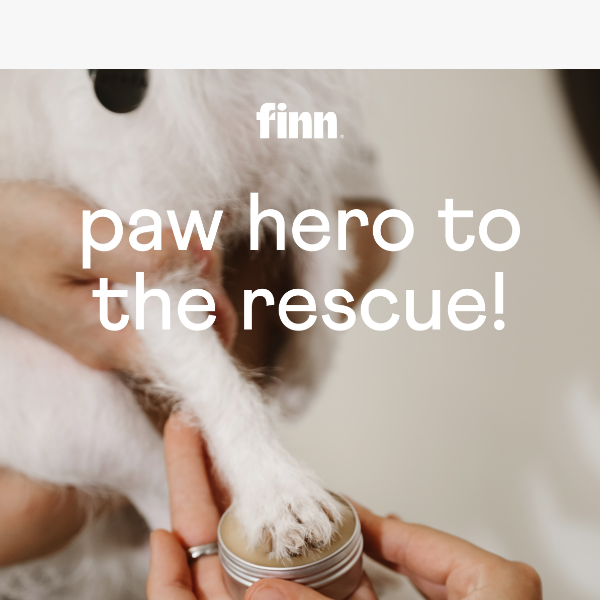BREAKING: Paw Hero Saves the Day! 🐾 🦸