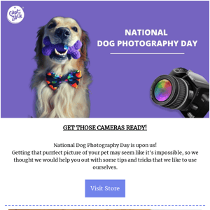 It's National Dog Photography Day! 📷