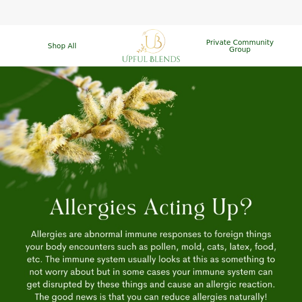 Allergies acting up? This can be why
