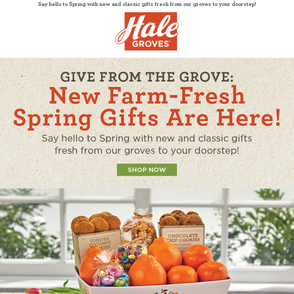 🐝 Give From The Grove: New Farm-Fresh Spring Gifts Are Here! 🍊