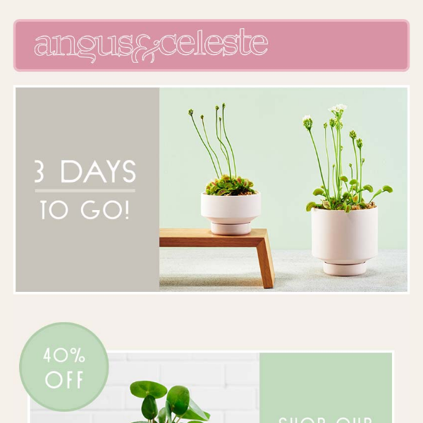 Organic Planters - Angus & Celeste