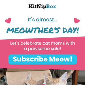 😻  Did You Almost Forget About Meowther's Day?? ❤